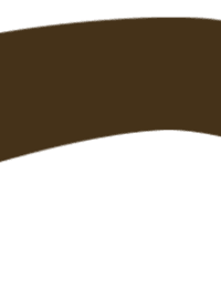 B4 WHISKEY 6 ml OPIUM COLORS eyebrows