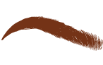 BROWN HAIRED 6 ml AS PIGMENTS eyebrows