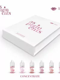 CONCENTRATE SET AS PIGMENTS (HYBRID, 6 pcs, 6 ml)